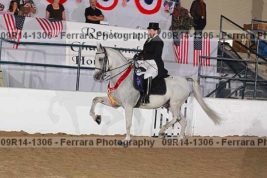 Proof 09r14-1306