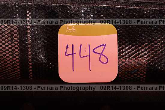 Proof 09r14-1308