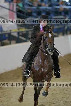 Proof 09r14-1309