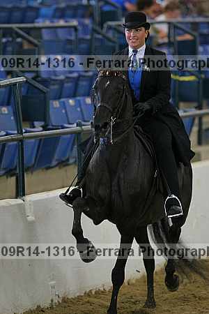 Proof 09r14-1316