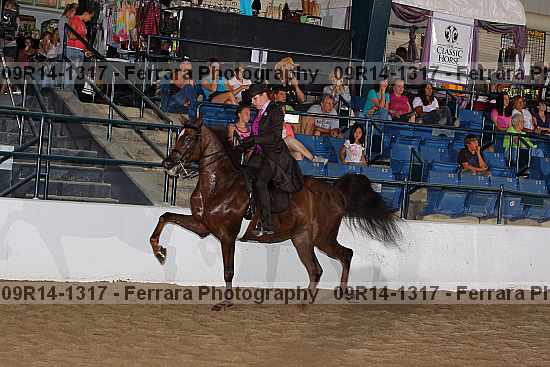 Proof 09r14-1317