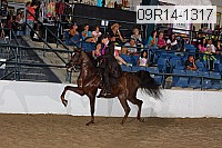 09r14-1317 proof