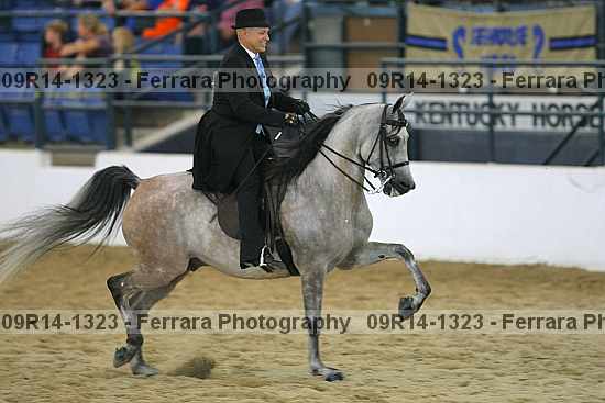 Proof 09r14-1323