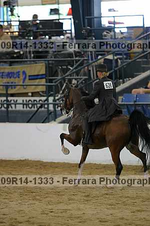 Proof 09r14-1333