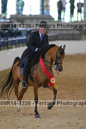 Proof 09r14-1336