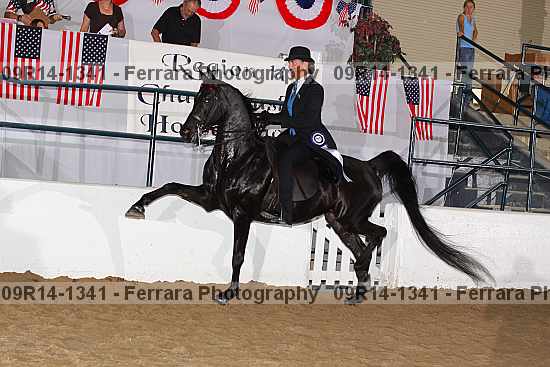 Proof 09r14-1341