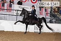09r14-1341 proof
