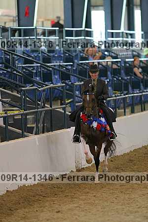 Proof 09r14-1346
