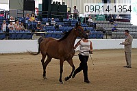 09r14-1354 proof