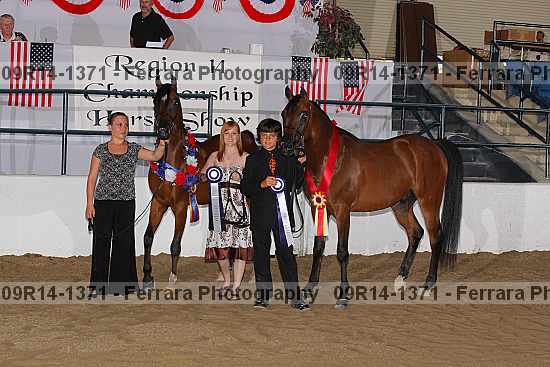 Proof 09r14-1371