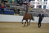 09r14-1374 proof