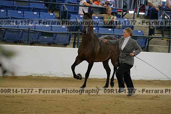 Proof 09r14-1377