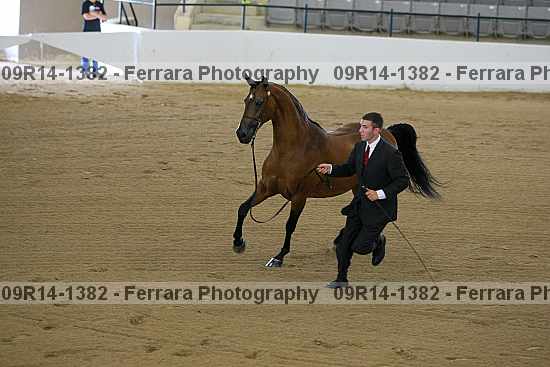 Proof 09r14-1382