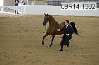 09r14-1382 proof