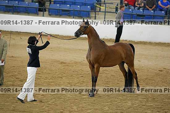 Proof 09r14-1387