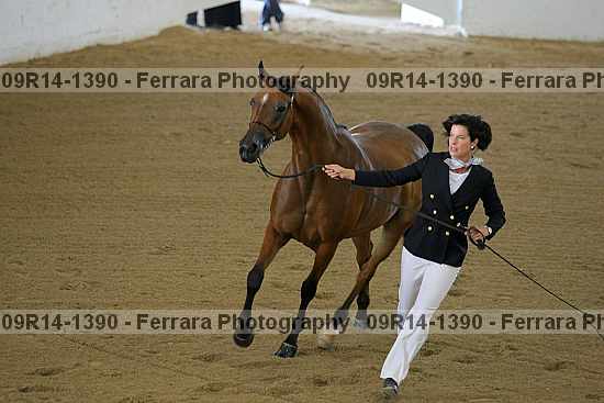 Proof 09r14-1390