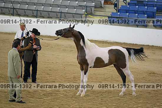 Proof 09r14-1392