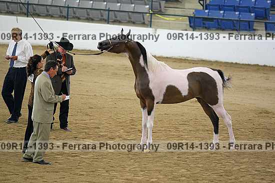 Proof 09r14-1393