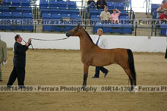 Proof 09r14-1399