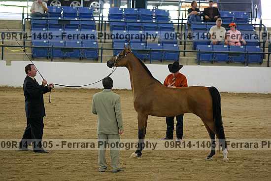 Proof 09r14-1405
