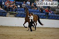 09r14-1464 proof