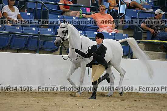 Proof 09r14-1508