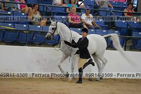 Proof 09r14-1509