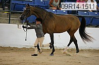09r14-1511 proof