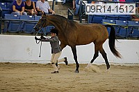 09r14-1512 proof
