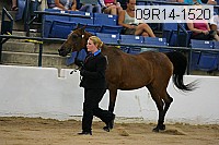 09r14-1520 proof
