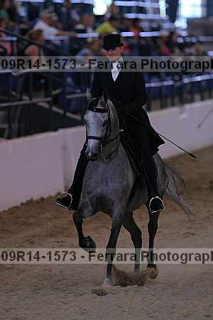Proof 09r14-1573