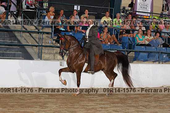 Proof 09r14-1576