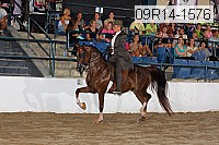 09r14-1576 proof