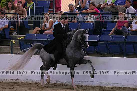 Proof 09r14-1579