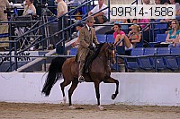 09r14-1586 proof