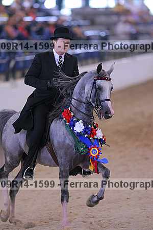 Proof 09r14-1599