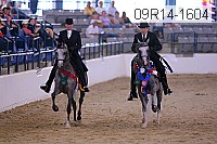 09r14-1604 proof