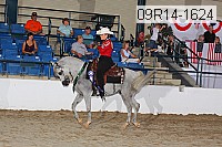 09r14-1624 proof