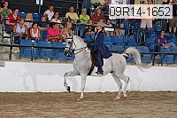 09r14-1652 proof