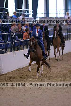 Proof 09r14-1654