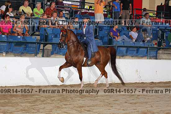 Proof 09r14-1657