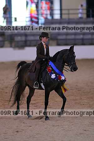 Proof 09r14-1671