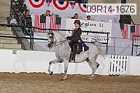 09r14-1676 proof