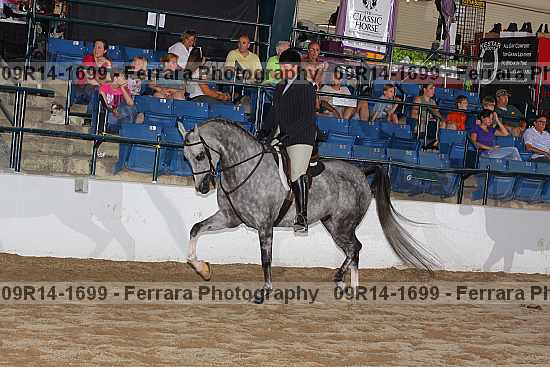 Proof 09r14-1699