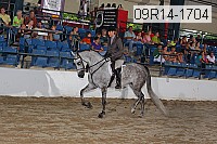 09r14-1704 proof