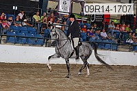 09r14-1707 proof