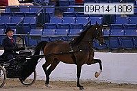 09r14-1809 proof