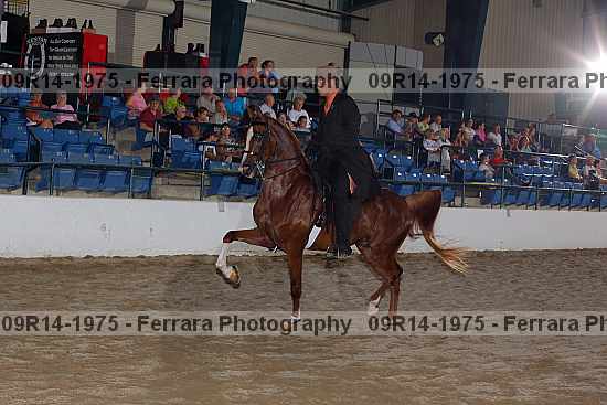 Proof 09r14-1975