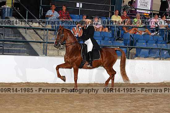 Proof 09r14-1985