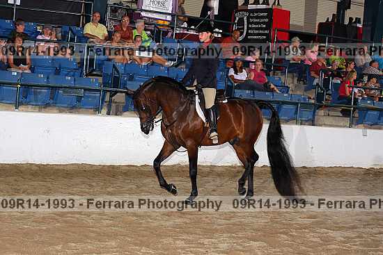 Proof 09r14-1993